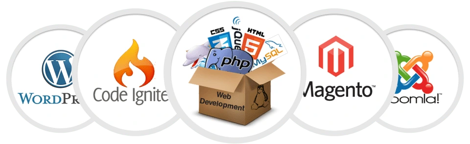 web_development